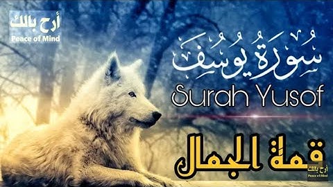 سورة يوسف | قمة الجمال - تلاوة خاشعة ومؤثرة جدا من القرآن الكريم