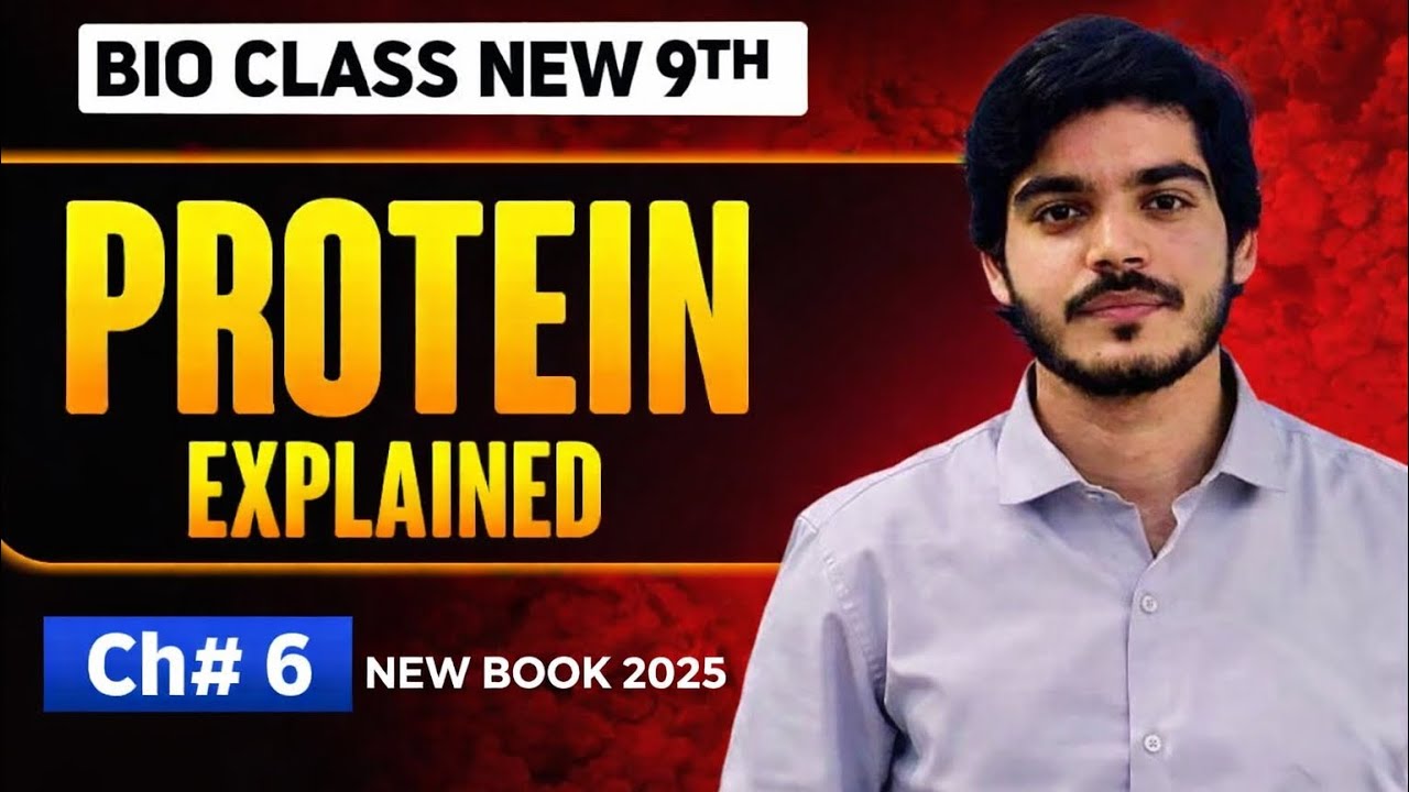 Proteins | Structure of Protein