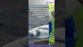♻️ Beat Plastic Pollution | World Environment Day