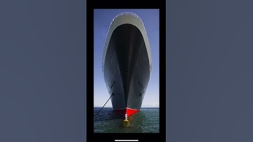 Things That Are Bigger Than You Think #shorts