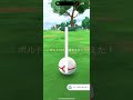 色違いボルトロス！ ＃ポケモンGO