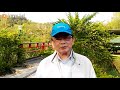20180324-台灣神追思祈福音樂會-林衡哲醫師參訪聖山