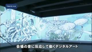 新宿区・コニカミノルタプラザ　デジタルアートで小笠原を体験