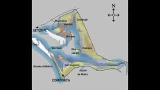 HERDADE COM PISTA DE AVIAÇÃO - A 35 MINUTOS DE LISBOA