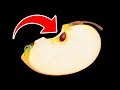 What Will Happen If You Eat Apple Seeds