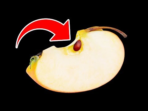 Video: Why Is It Good To Eat Apple Seeds?