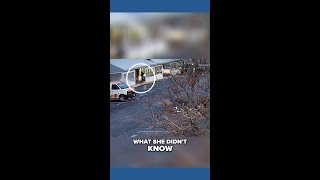 Grove City police say 5-year-old helped foil suspect after car theft