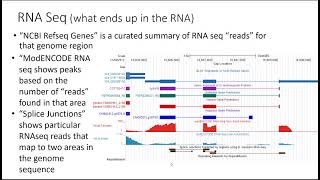 Celebrity Gene Annotation, pathways project Wealth