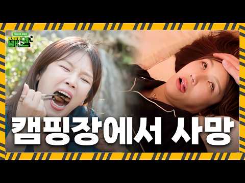 캠핑장에서 알콩달콩 밥 먹다가 사망한 이유?! [위기탈출 넘버원 비상구를 열어라]ㅣKBS JOY 260804 방송