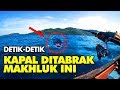 MANCING DITARIK IKAN BESAR, REEL MENJERIT PARAH JORAN HAMPIR PATAH