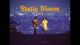 Static Bloom - haenaa. (offical lyric video)