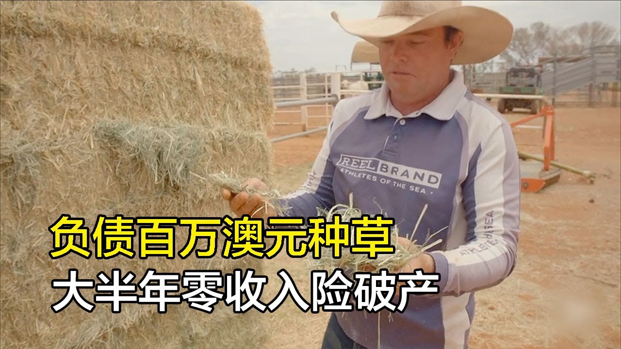 澳洲农民花6000澳元买种子种地，农忙旺季拖拉机故障损惨重，内陆农场遭遇火灾，安东尼以火攻火阻挡火源