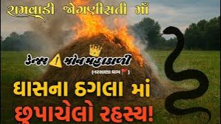 🐍 'ઘાસના ઢગલામાં નાગિન અને બચ્ચા – વિશ્વાસ નહીં થાય જે થયું! 😢' 919925406243/ 916353392364