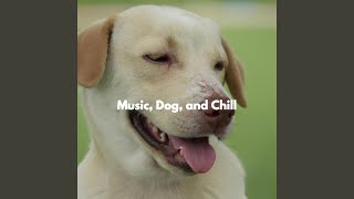Fiery Guitar Bossa Nova Trio - Vibe for Puppy Imagination