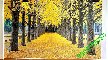 Tranh Dán Tường 3D Trang Trí Spa Sang Trọng Có Chiều Sâu Làm Mát Không Gian.