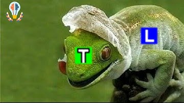 How to Change The Template For Multiple Items Spread Across SuperMemo Knowledge Tree