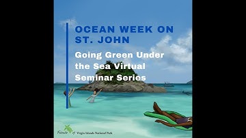 Sea Turtle Monitoring October 2020