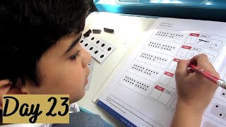 Striped Chipmunk Special Features And Habitat Place Value With Dominoes And Workbook Sara Meer