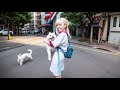 🐩迷子犬を保護したら奇跡が起きた🥺 People helped the dog