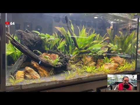 Just Testing Something Real Quick! 😁