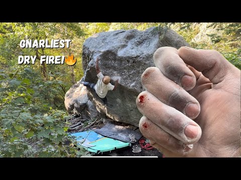 Alzheimer's Low v11 and MY GNARLIEST DRY FIRE ( with commentary )