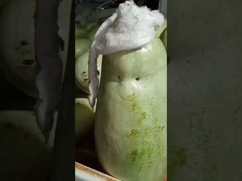 بو علي صورني ههه    