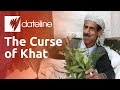 Khat yemens addictive narcotic chewing leaf
