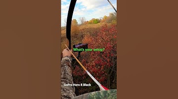 Recurve Bow Set Up for Deer Hunting 2022 | #Shorts