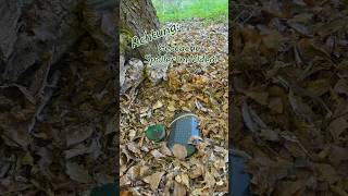 Geocache: Alles Safe?! 🤔🚸🧭
