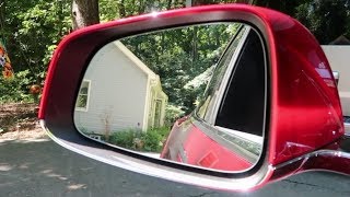 Day 14 Tesla Ruby Connects with the New Amazon Echo Show