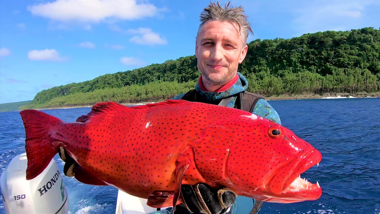 SPEARFISHING HUGE FISH! Coral Trout & Dogtooth Tuna