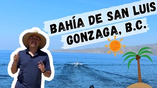 Lo MEJOR de San Luis Gonzaga B.C. | Paraíso Escondido | Playas de México