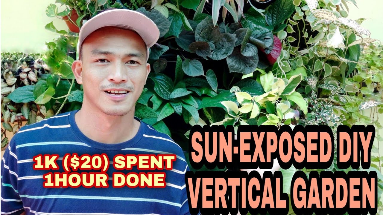 20 ДОЛЛАРОВ ВЕРТИКАЛЬНЫЙ САД НА СОЛНЦЕ