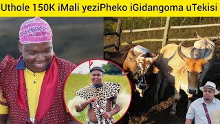 Ngeke ukholwe🤭uMlando lona iGidangoma lika Mthandeni liphekiswa ngo👉150K izipheko zeMali neziNkomo🐄🤭