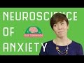 Neuroscience of Anxiety