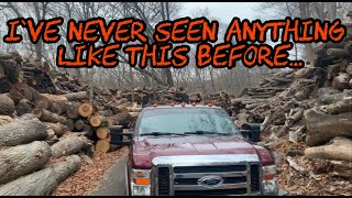 #174 I've NEVER Seen Anything Like This Before...Loading Big White Oak Logs for the Sawmill