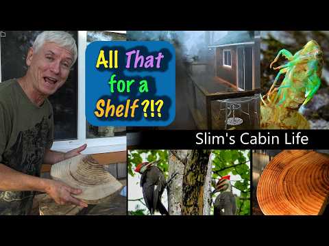 All That for a Shelf? Slim's Cabin Life Ideas