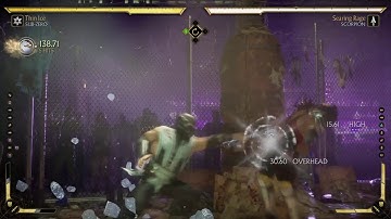 Sub Zero TI Flawless block into full combo punish