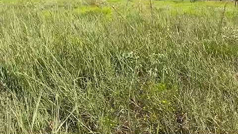 Stockpile best practices - Jaime Elizondo