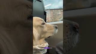 заметка из барсетки №5 #жизнь #мудрость #мысли