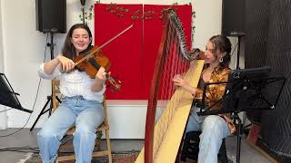 Apple  Charli Xcx Cover harp Viola And Singing