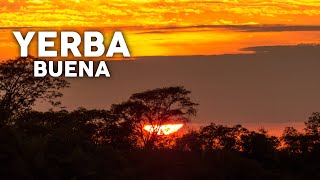 Yerba Buena y Sendero el Benteveo (Catamarca)