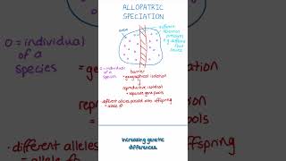 Allopatric Speciation Explained Simply | A-level Biology #alevelbiology