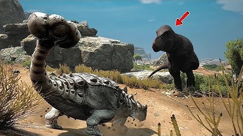 The SOLO Anodontosaurus Experience