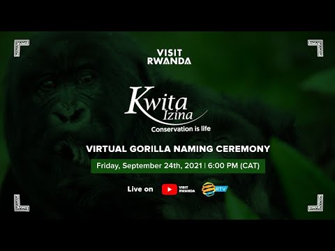Download Rwanda's 17th Edition Kwita Izina Gorilla Naming Ceremony | Kigali 24 September 2021