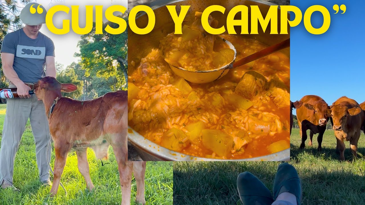 GUISO CRIOLLO, VIDA DE CAMPO Y TRABAJO | ESTANCIA Y TRADICIÓN. #campo #cocina #argentina #asado 