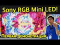 Первая демонстрация нового RGB MiniLED телевизора Sony | ABOUT TECH