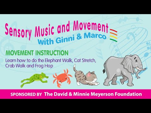 Sensory Music & Movement - Animals - YouTube