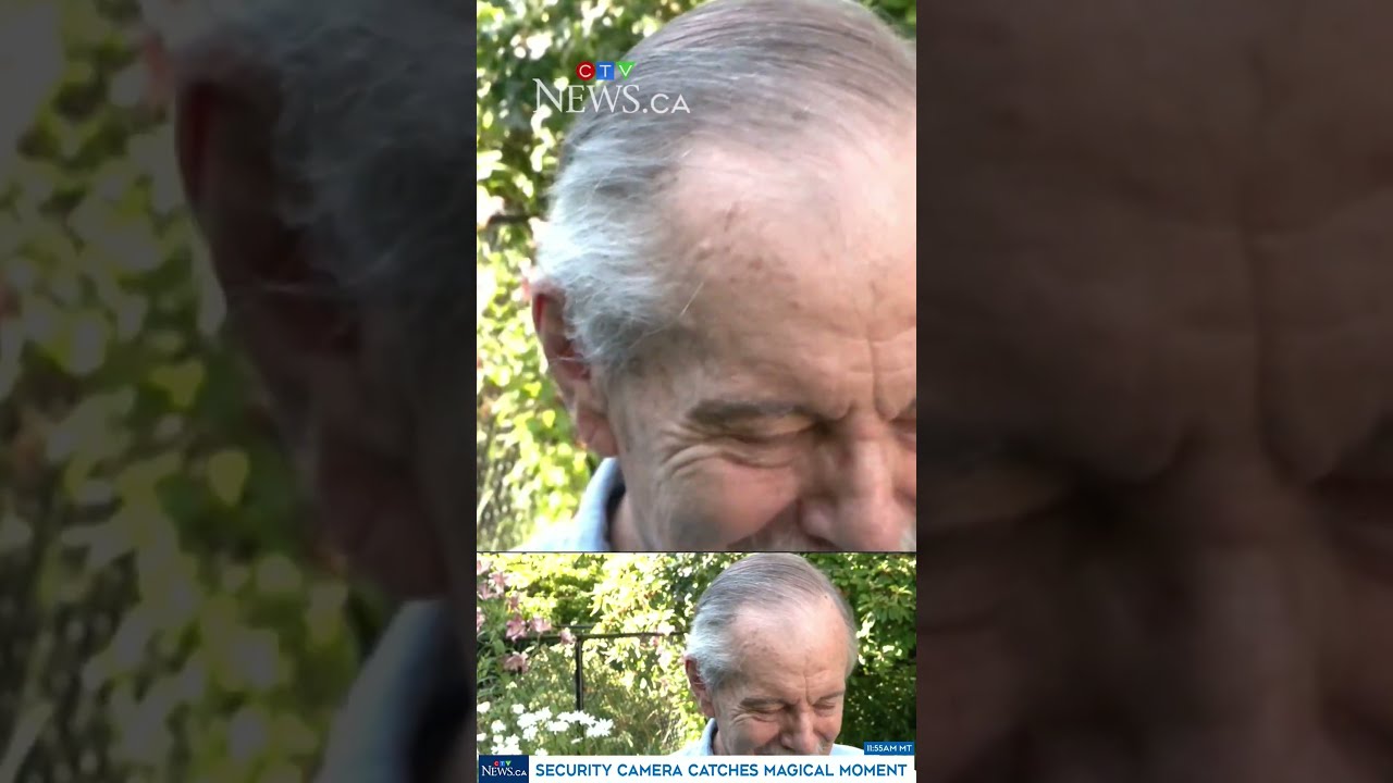 B C Man Captures Mysterious Fairy Like Figure On Security Camera
