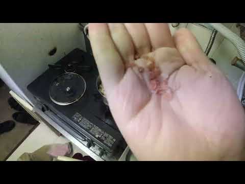 ASI ES COMO YO HAGO POP CORN SANO, FACIL Y RICO | ZUBNORMAL
